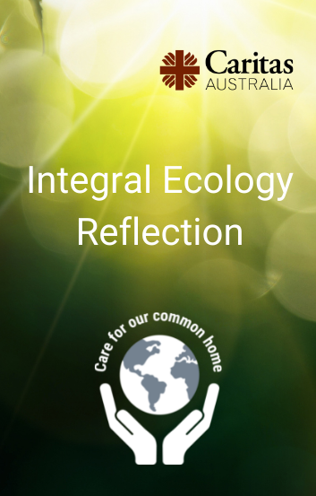 Integral Ecology Reflection