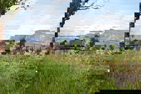 PNG Highlands