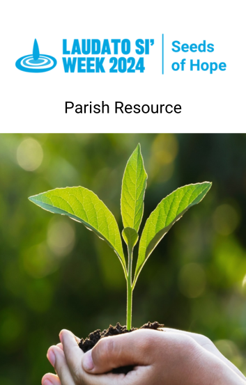 LS Week Parish