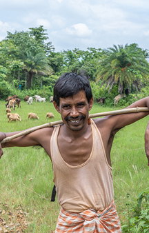 Biru On His Farm