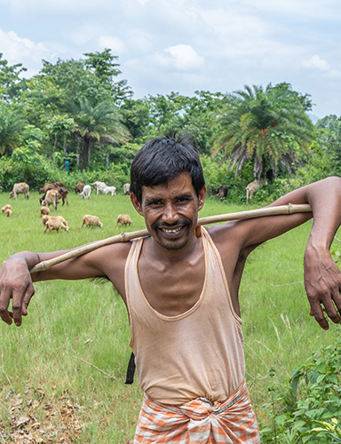 Biru On His Farm
