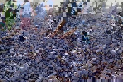 Microsoftteams Image (22)