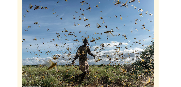 Horn Of Africa Crisis