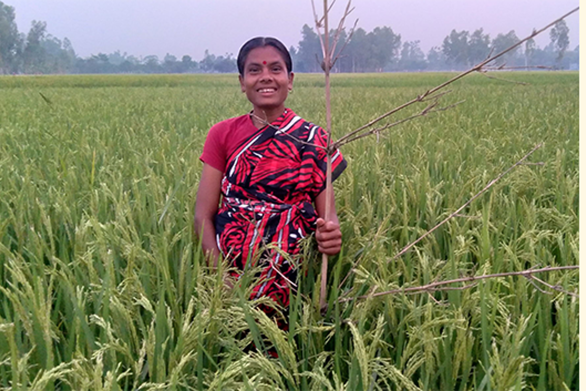 Boosting Food Security For Indigenous Communities In Bangladesh