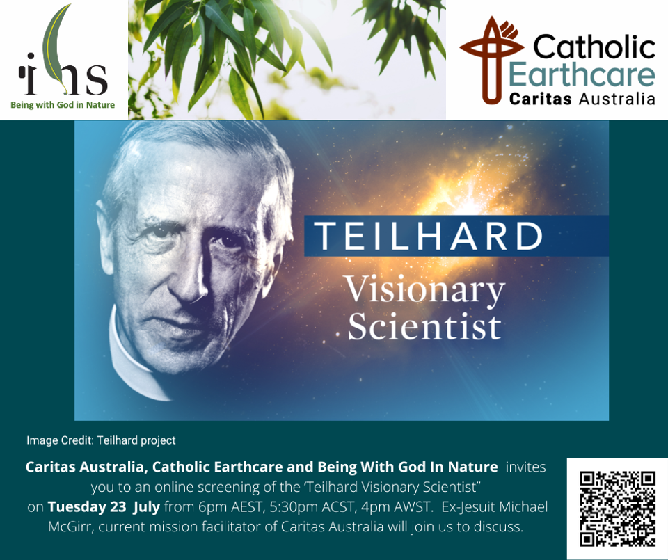 Teilhard Visionary Scientist 1