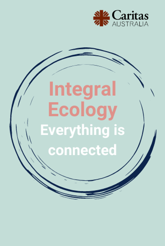 Integral Ecology Everything Is Connected